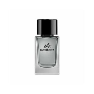 Burberry Mr. Burberry 100ml